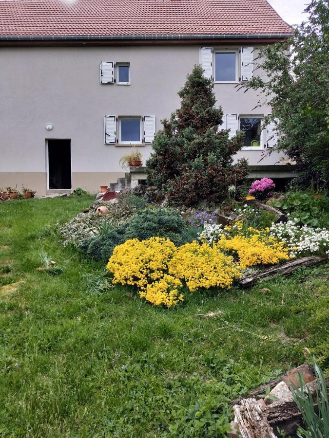 Gite Les Papillons Bining Exteriér fotografie