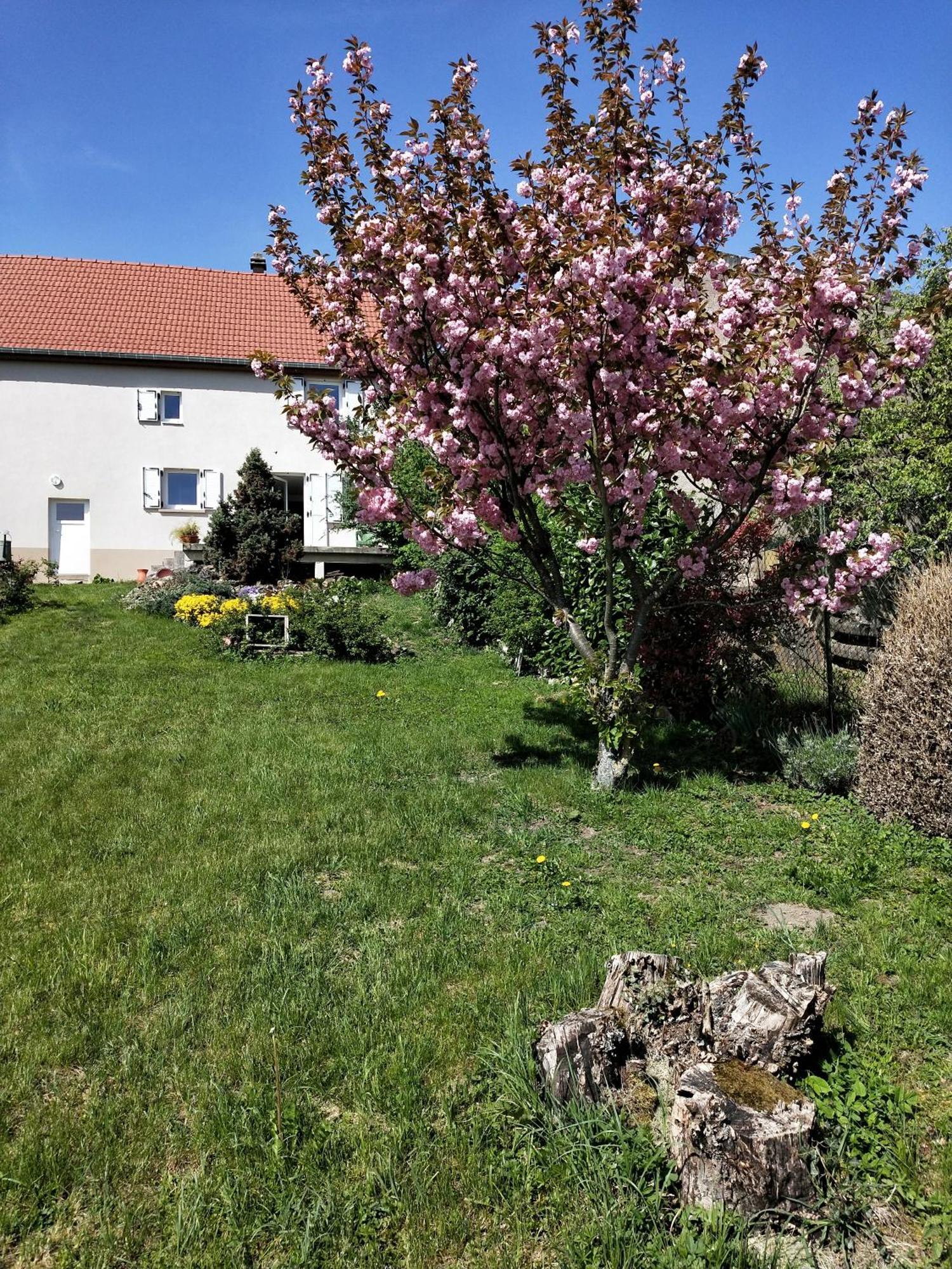 Gite Les Papillons Bining Exteriér fotografie