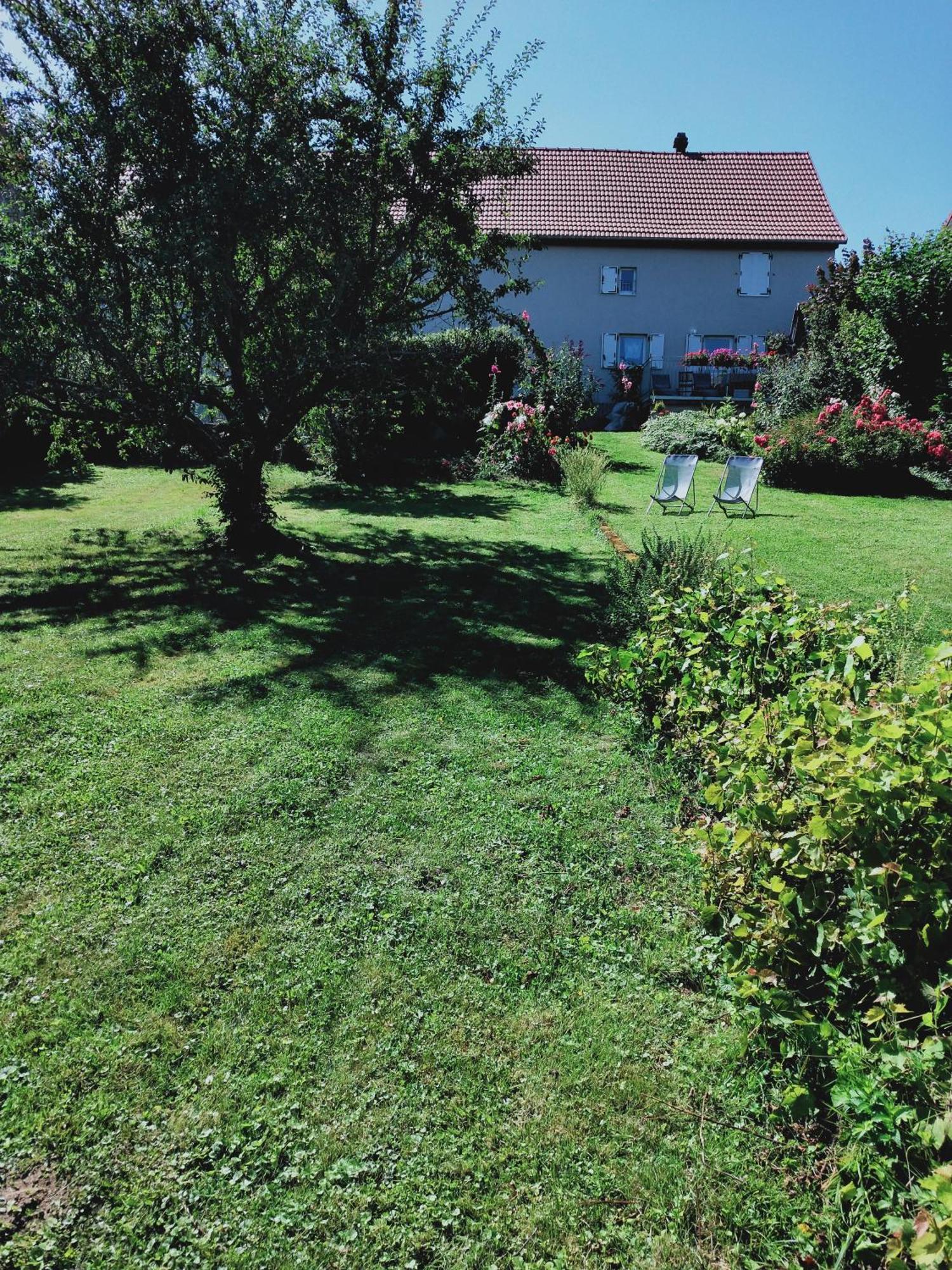 Gite Les Papillons Bining Exteriér fotografie