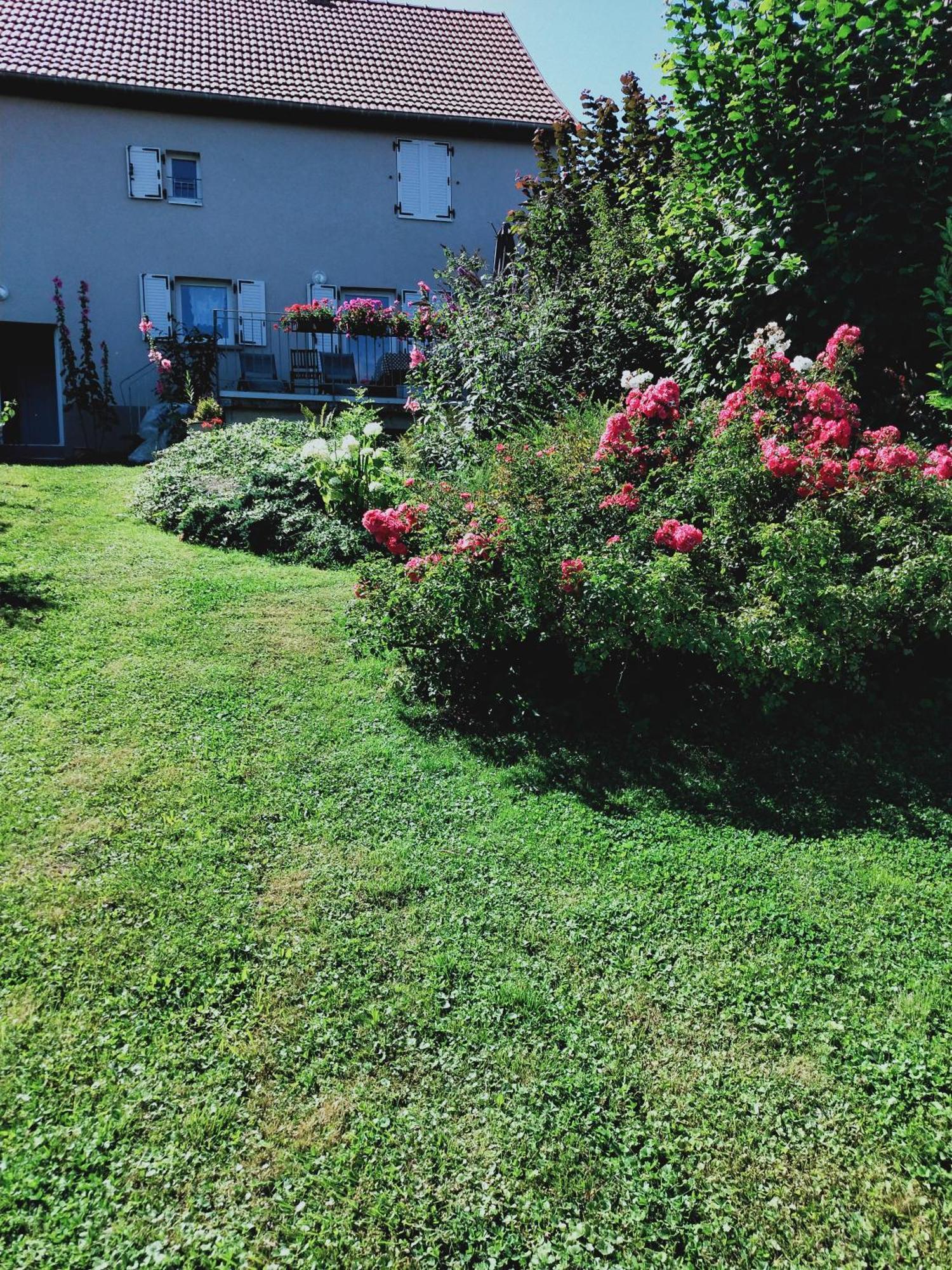 Gite Les Papillons Bining Exteriér fotografie